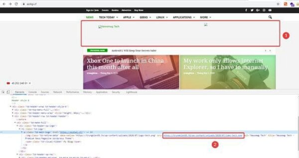 How to change website domain name with Better Search Replace Plugin