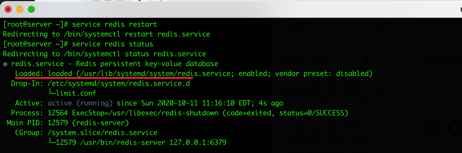 install Redis on DirectAdmin