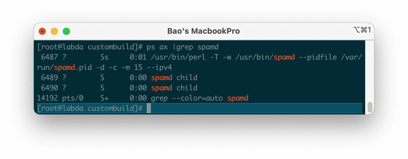how to install cài đặt Easy Spam Fighter trên DirectAdmin
