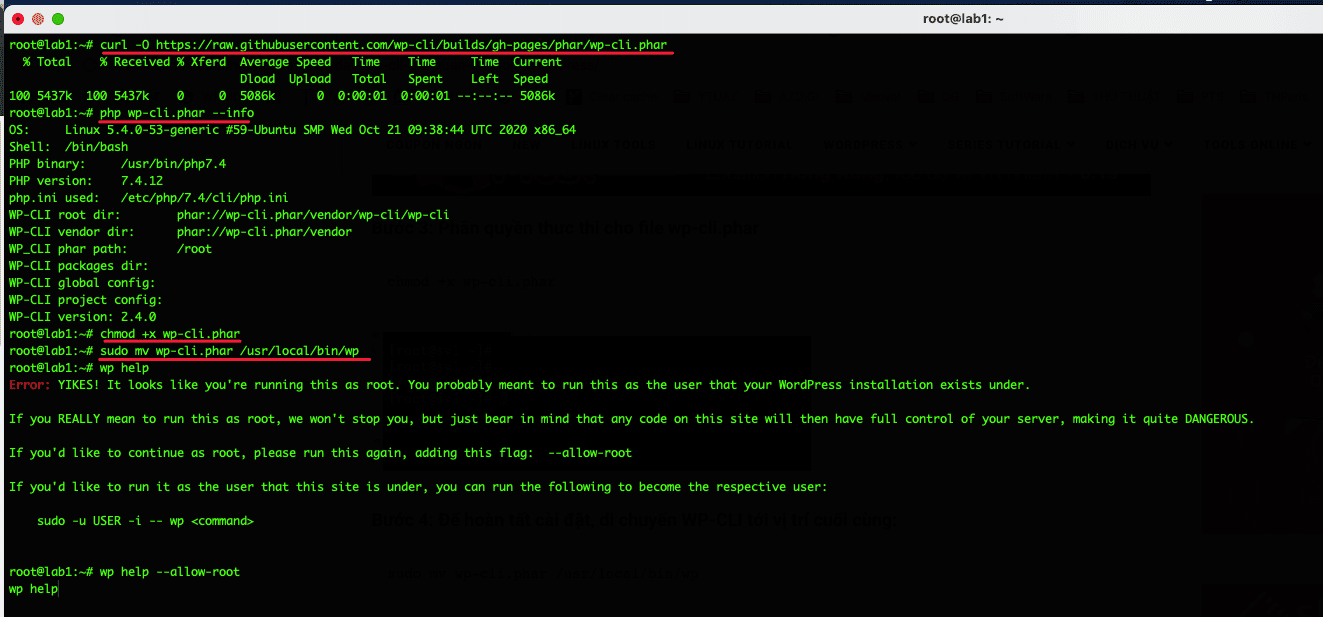 install WP CLI on HestiaCP