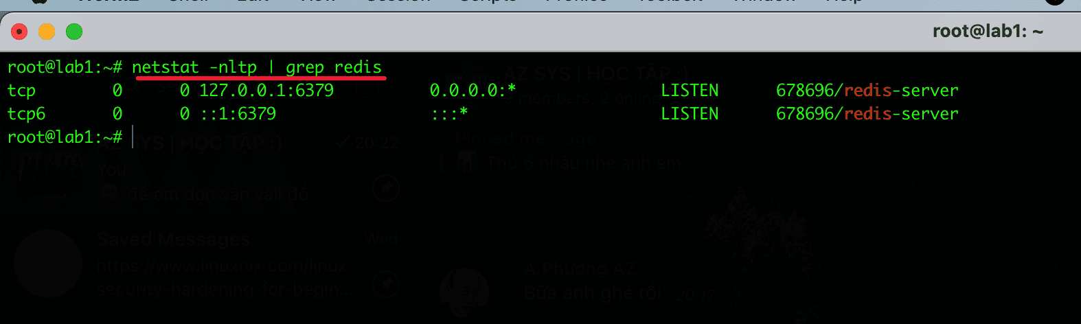 install Redis configuration on HestiaCP
