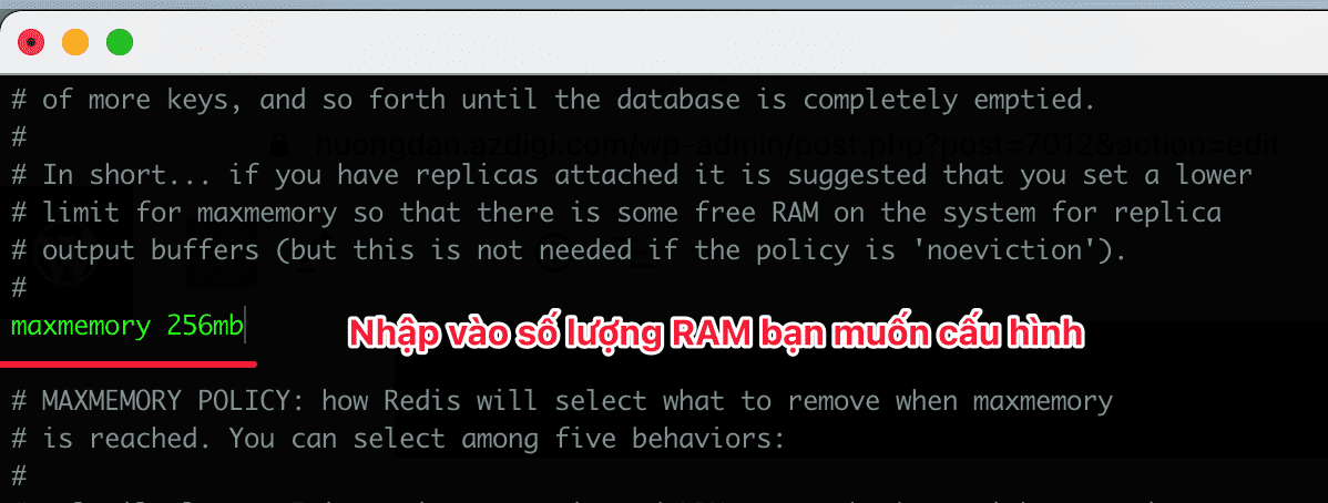 install Redis configuration on HestiaCP