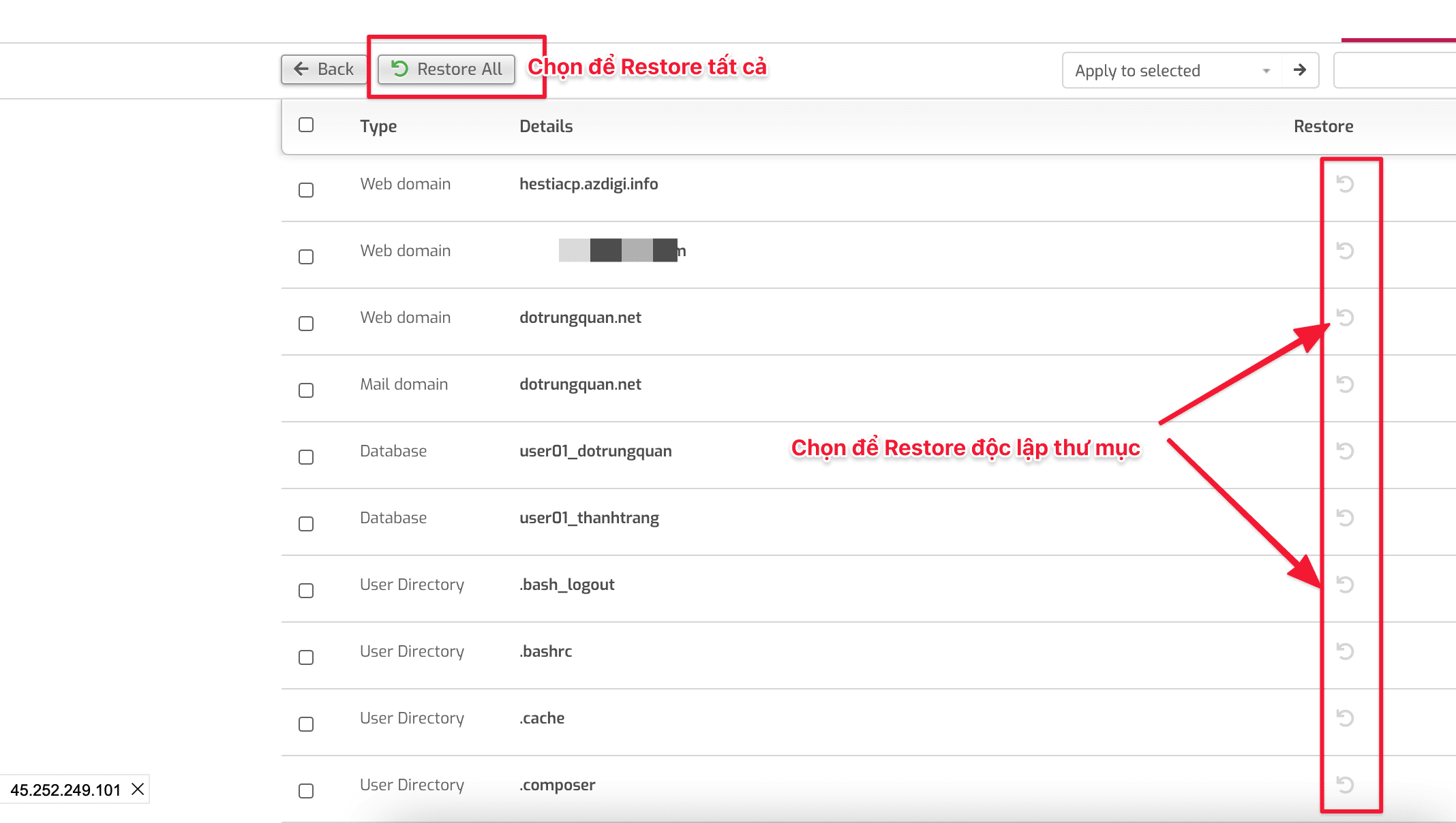 Backup/Restore on HestiaCP