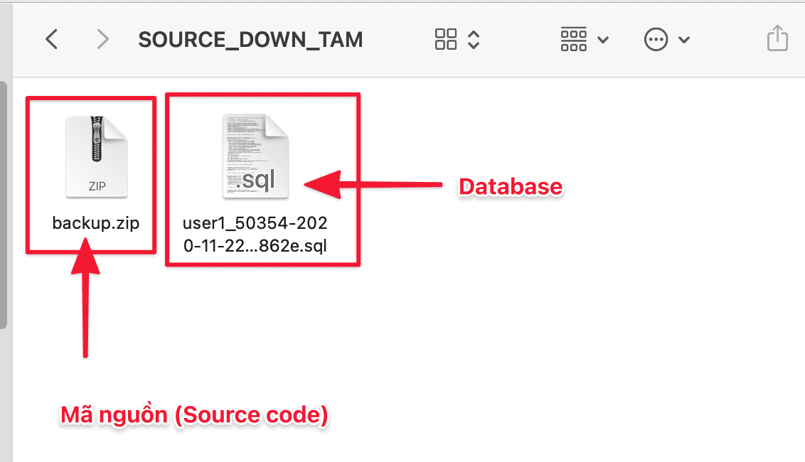 Transfer website data to HestiaCP