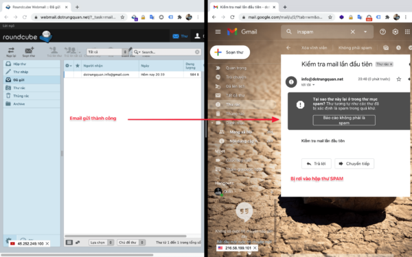 Hướng dẫn cấu hình DKIM SPF trên HestiaCP