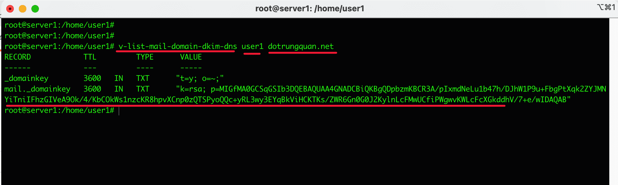 configure DIKIM SFP on HestiaCP