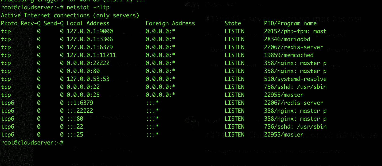install and use Webinoly