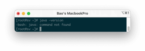 Cài đặt Java 8 trên CentOS 7