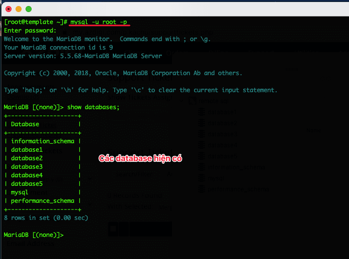 Activate Remote SQL Server on Linux