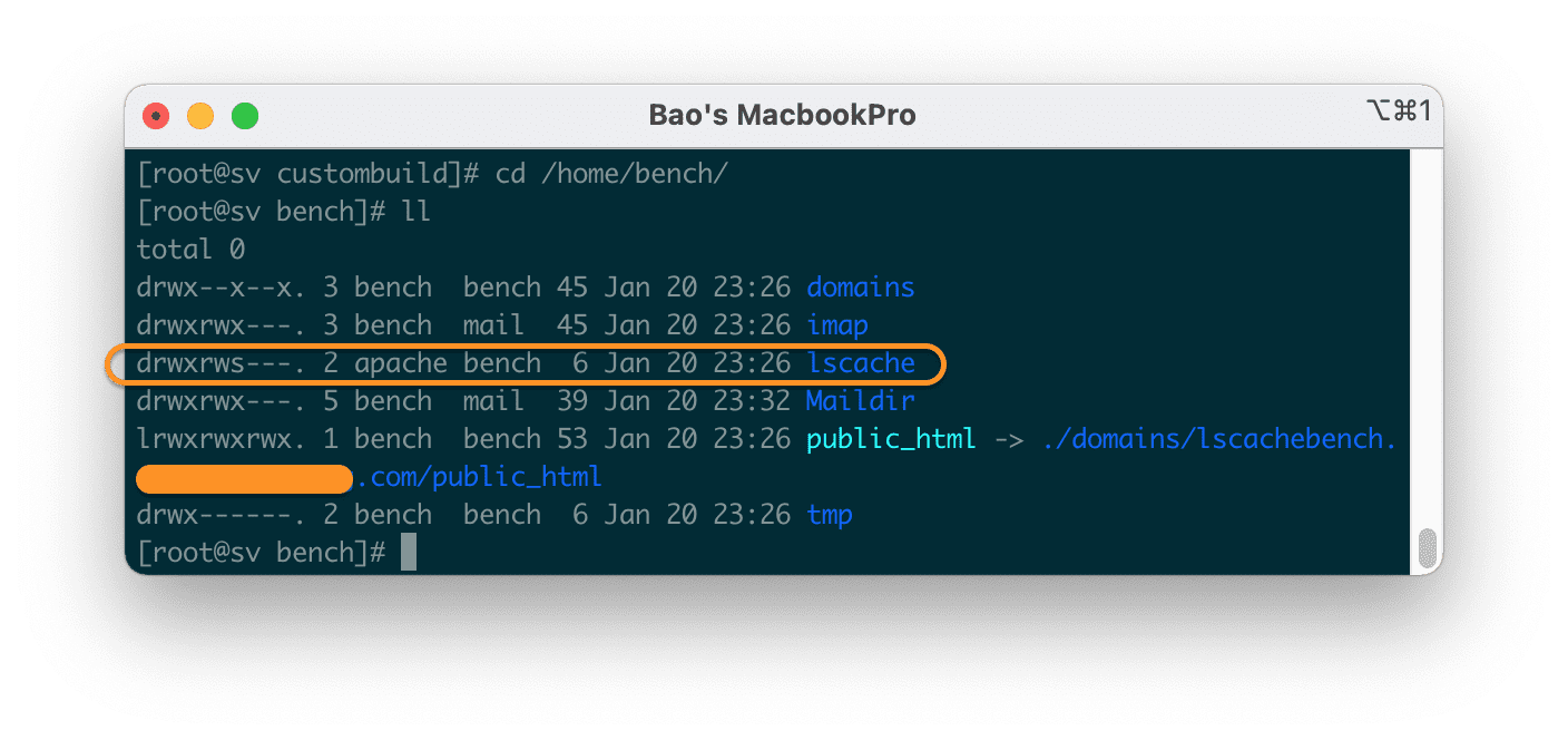 activate-kich-hoat-lscache-tren-directadmin