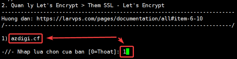 Install Let's Encrypt SSL on LarVPS