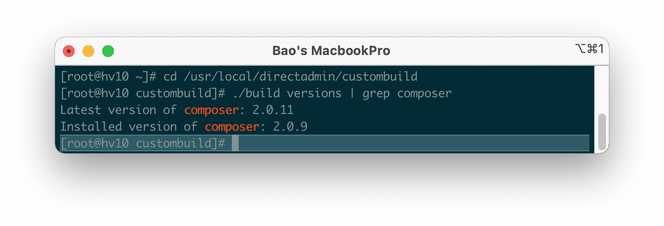 how-to-update-nang-cap-composer-directadmin