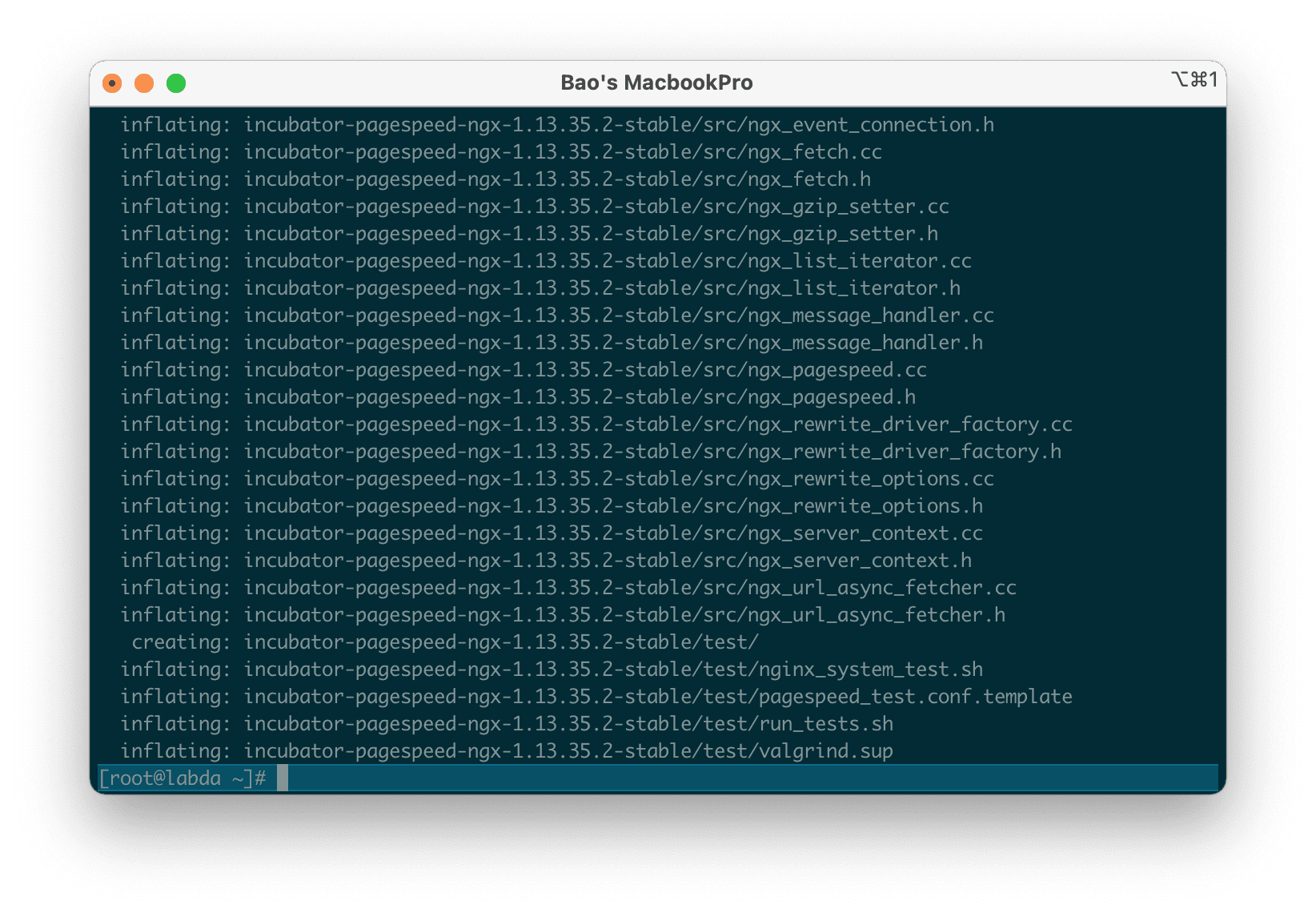 Install mod_pagespeed into Nginx on DirectAdmin