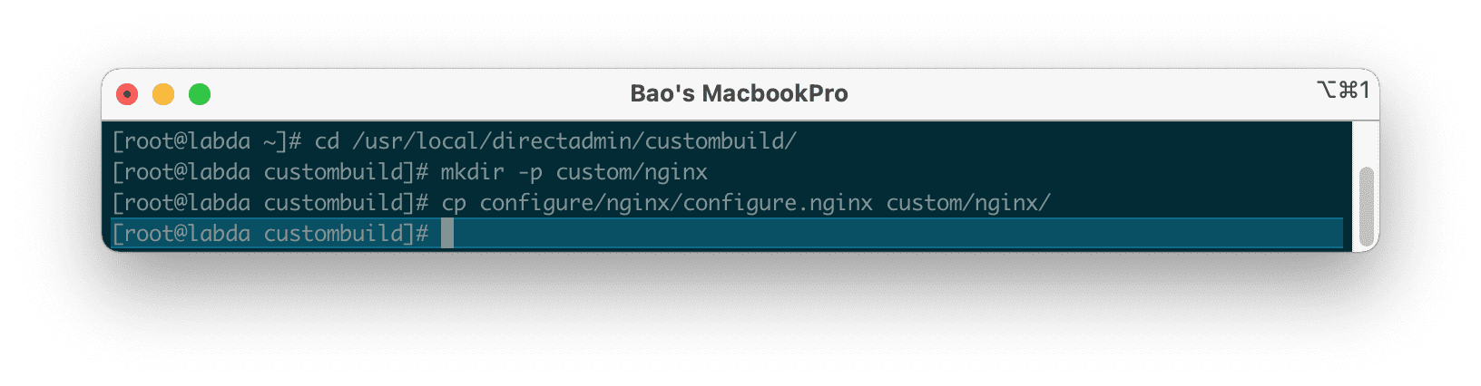Cài đặt mod_pagespeed vào Nginx trên DirectAdmin