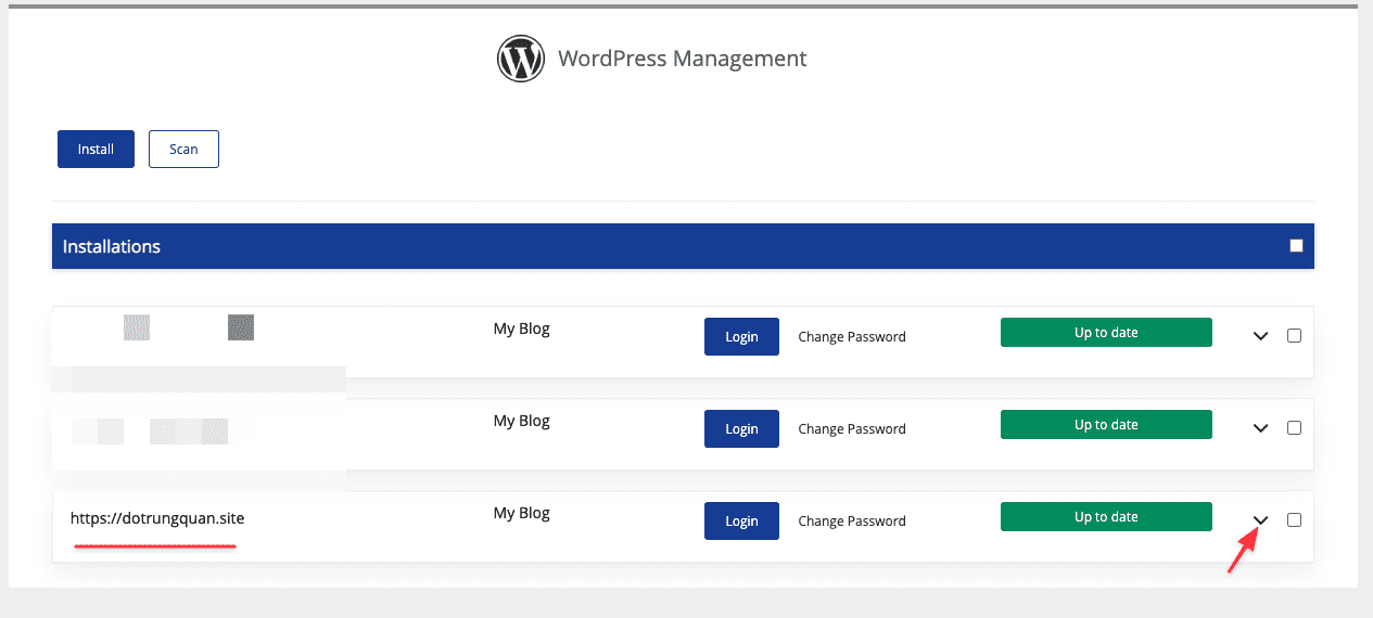 How to use WordPress Staging on cPanel