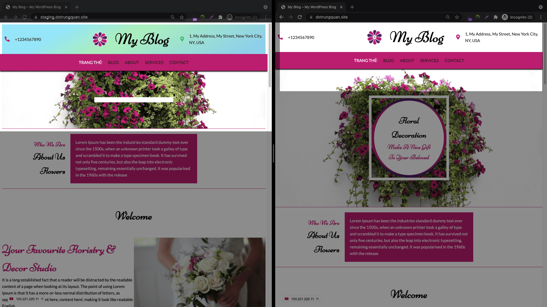 How to use WordPress Staging on cPanel