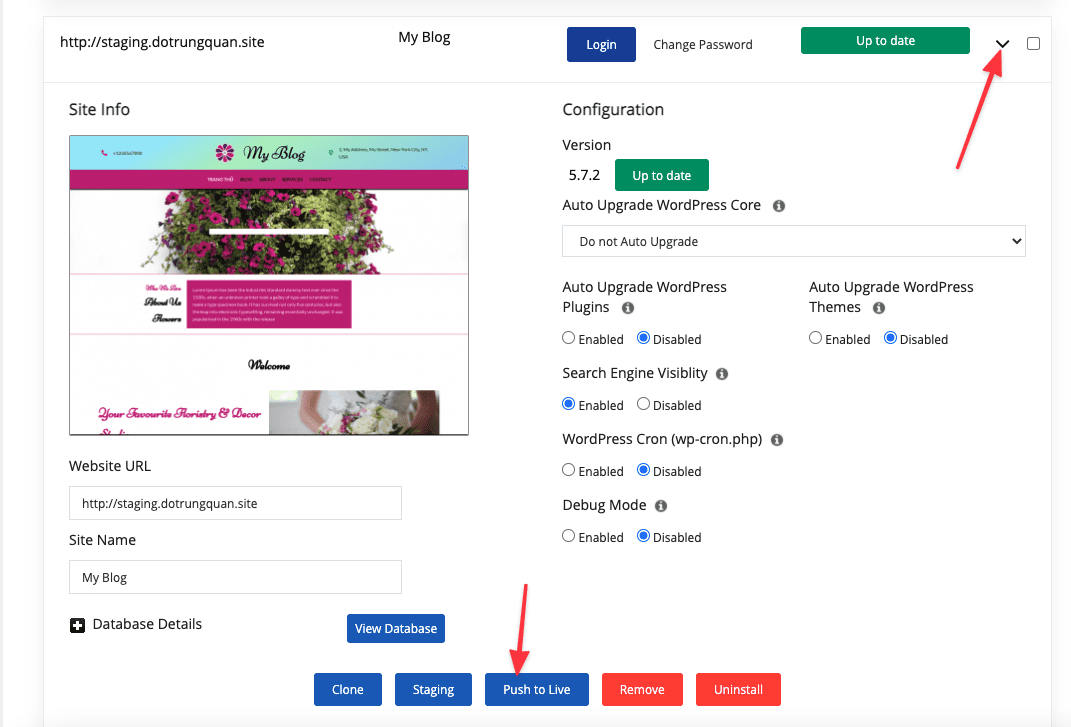 How to use WordPress Staging on cPanel