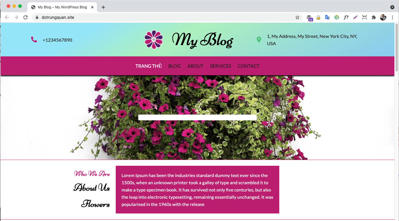How to use WordPress Staging on cPanel