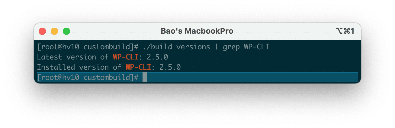 Nâng cấp phiên bản WP-CLI trên DirectAdmin | How to update WP-CLI Directadmin