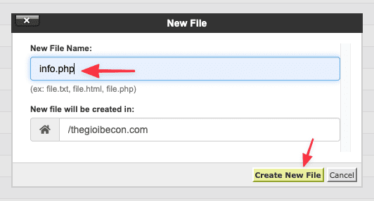 List the extension used on your website