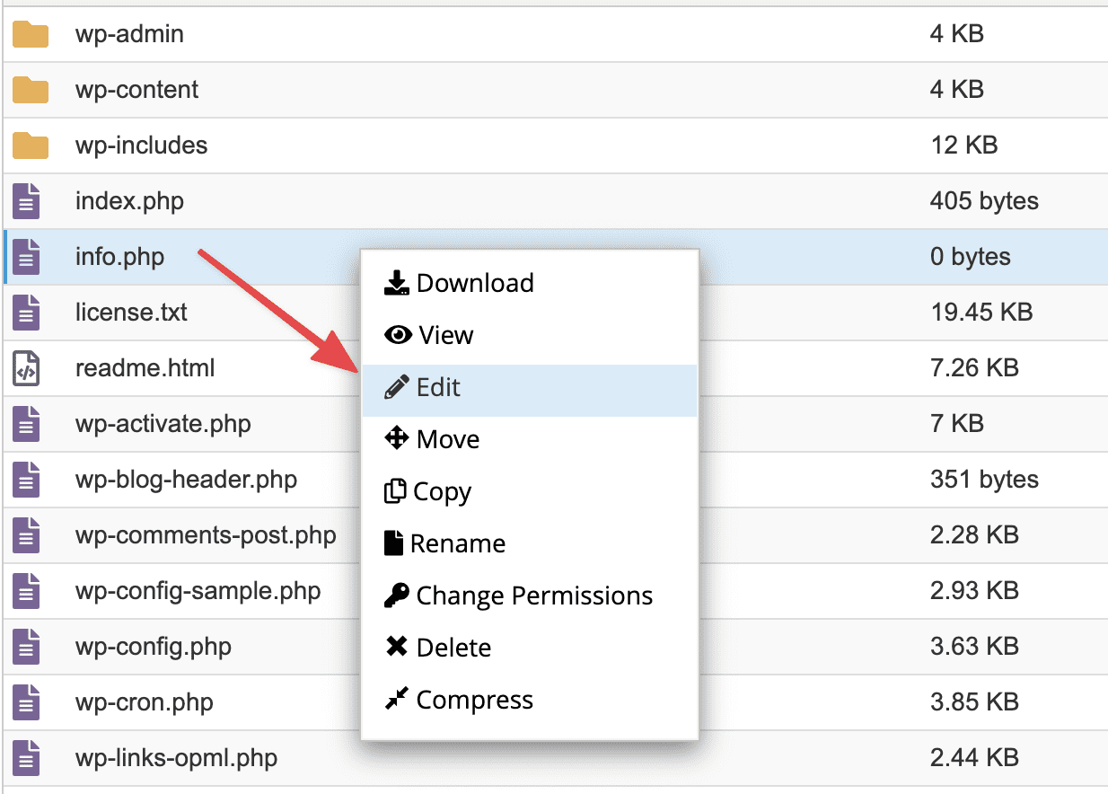 Check PHP information with info file