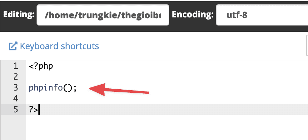 Check PHP information with info file