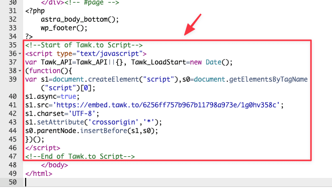 Install Tawk.to on your WordPress website