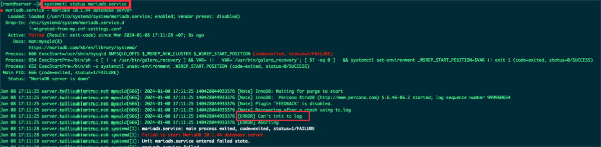 Sửa lỗi [ERROR] Can't init tc log trên dịch vụ MySQL | AZDIGI Blog