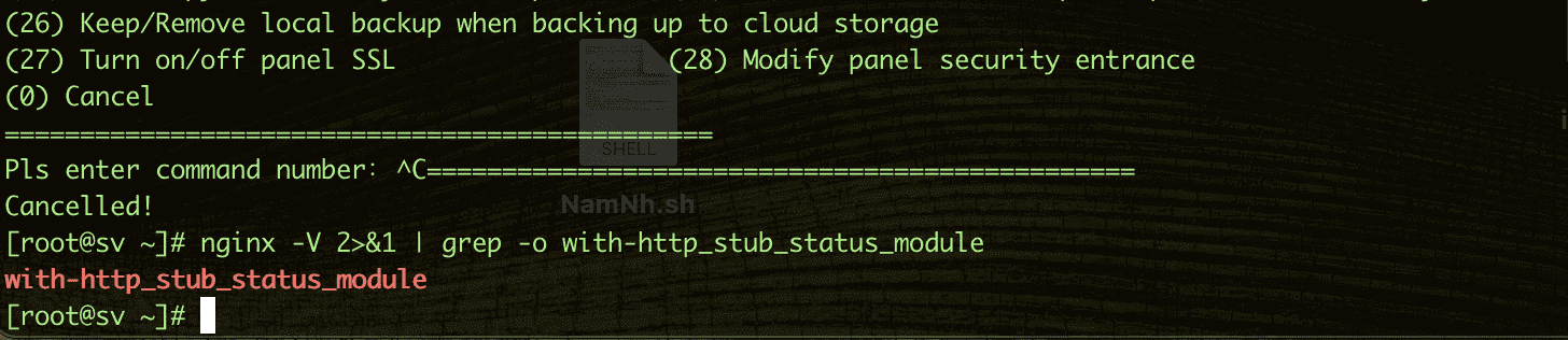 Bật tính năng NGINX Status trên AAPANEL