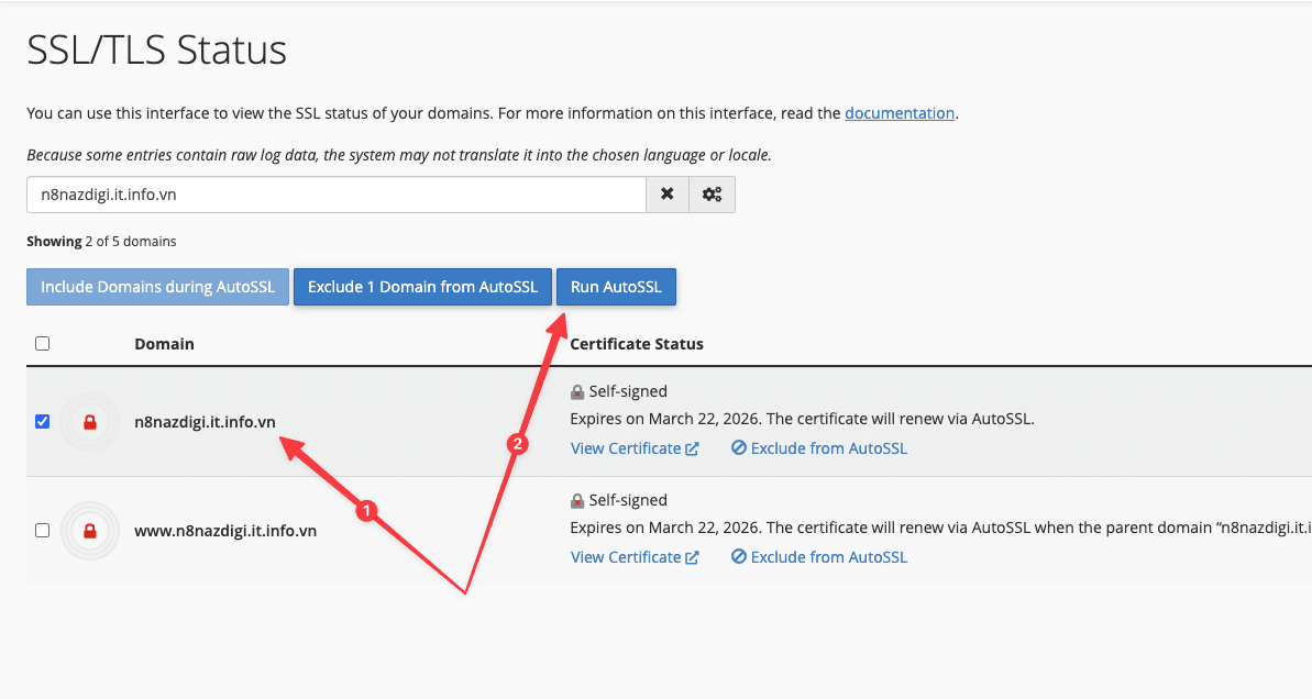 Hướng dẫn cài đặt n8n trên cPanel nhanh chóng và dễ dàng