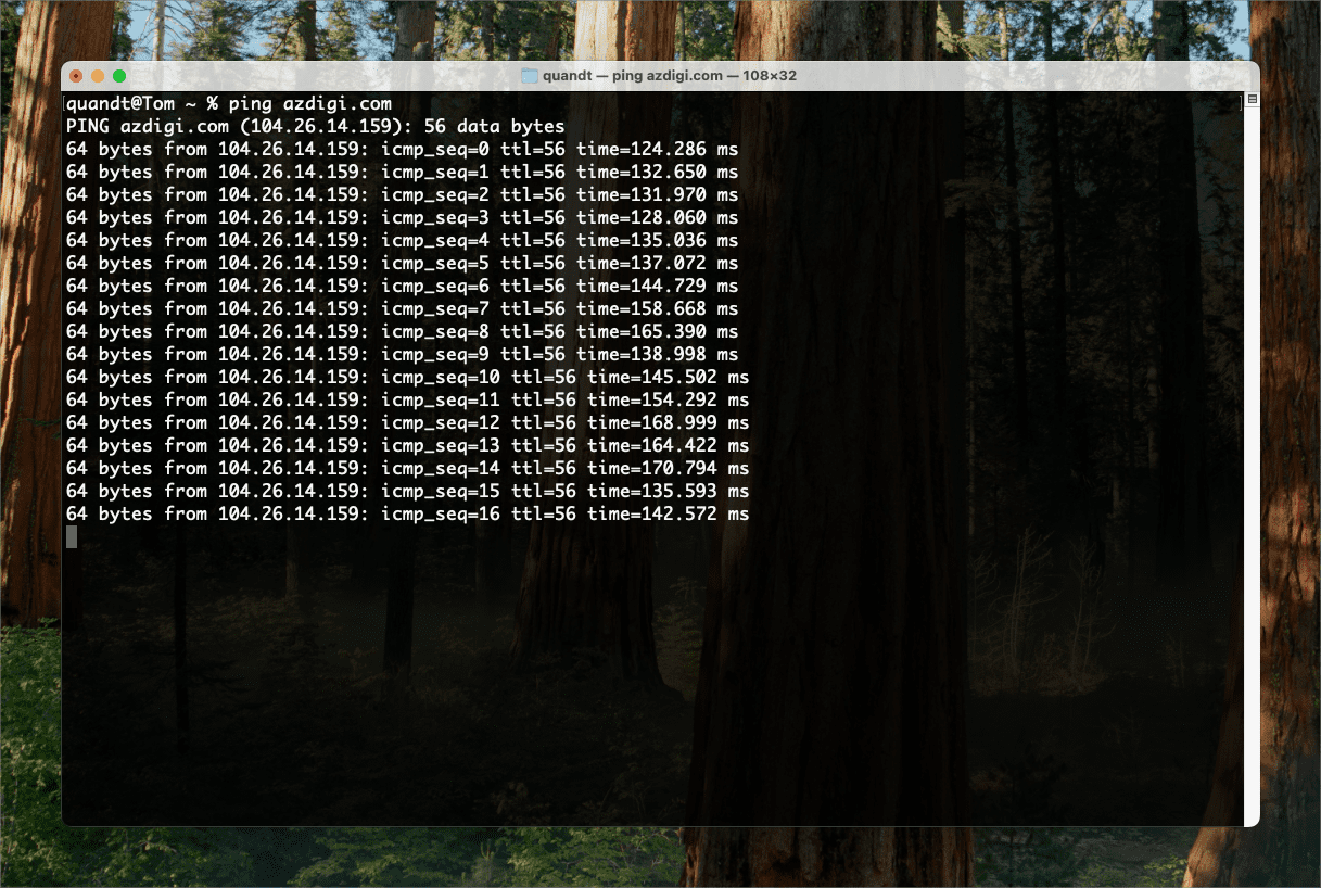 Hướng dẫn sử dụng Ping và Tracert