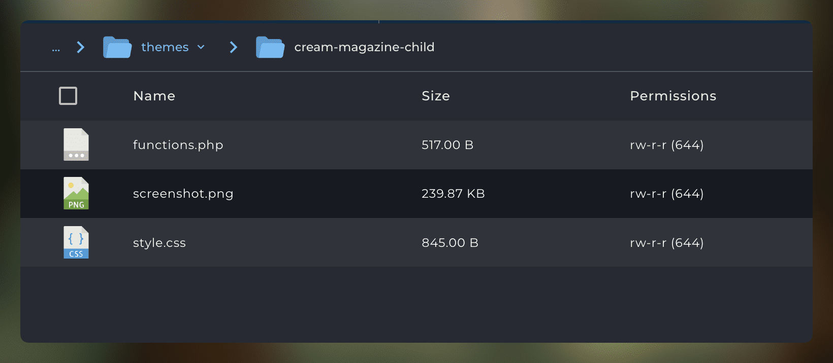 Hướng dẫn tạo Child Theme trong WordPress
