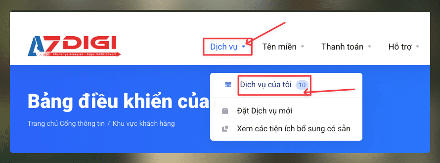 Hướng dẫn khôi phục mật khẩu Hosting tại AZDIGI