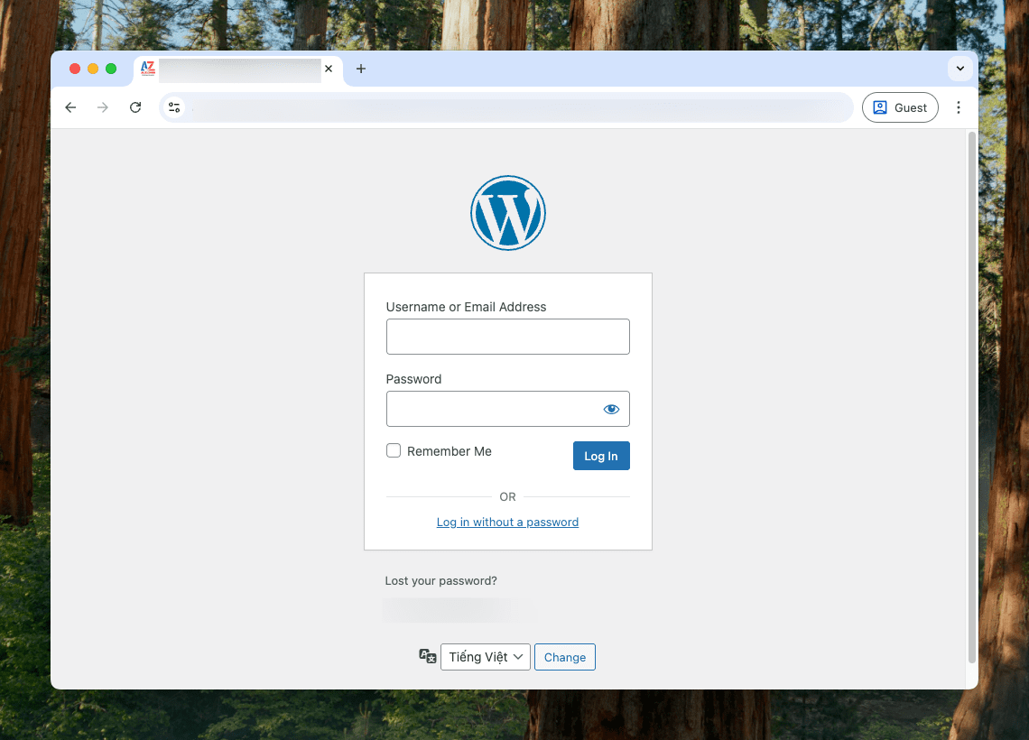 Hướng dẫn xem dung lượng website WordPress trực tiếp trong giao diện quản trị