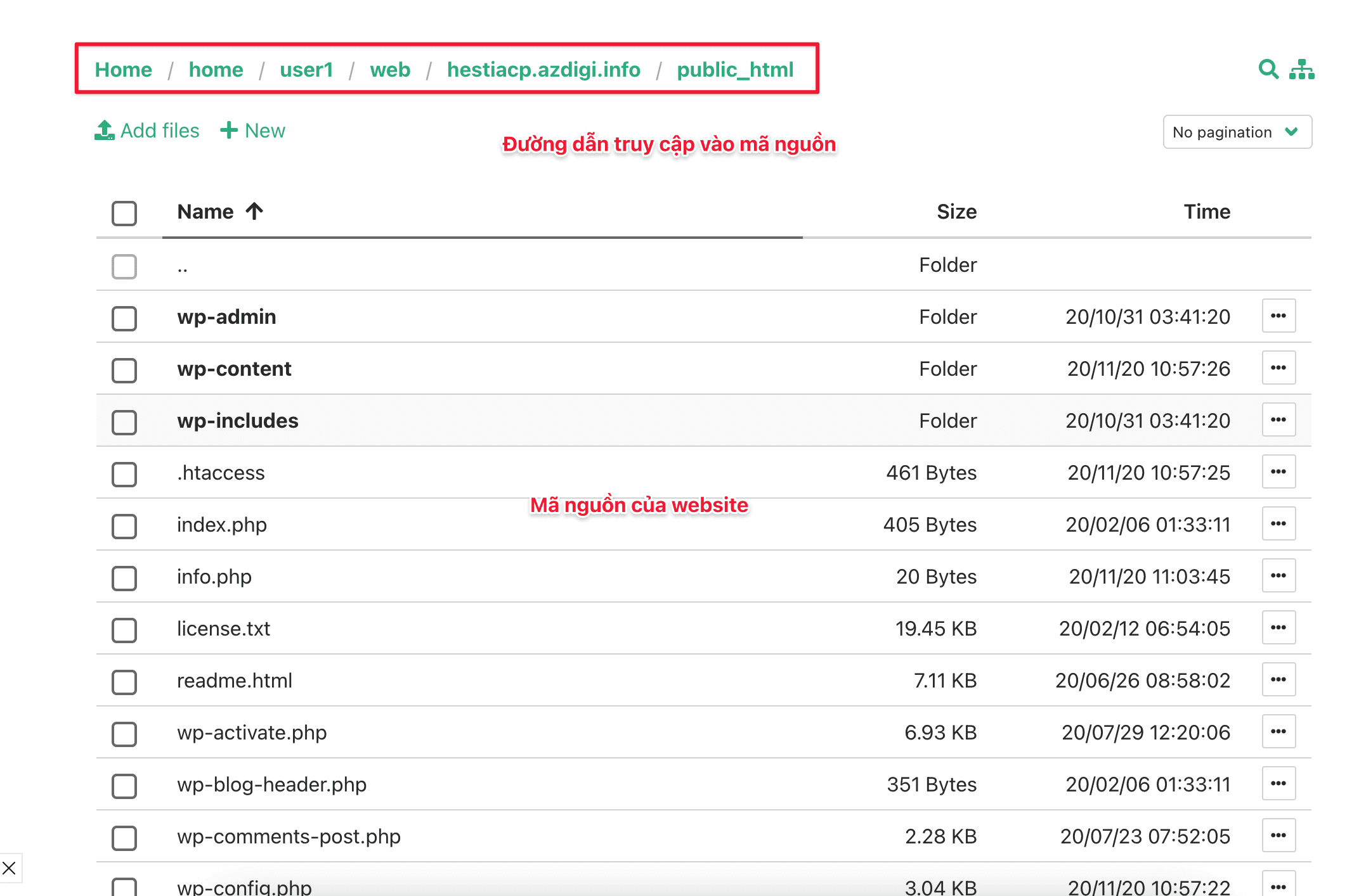 use File Manager on HestiaCP