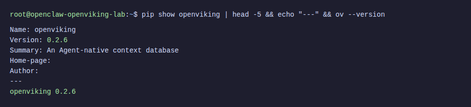 OpenViking cài đặt thành công