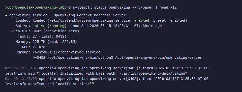 OpenViking systemd service