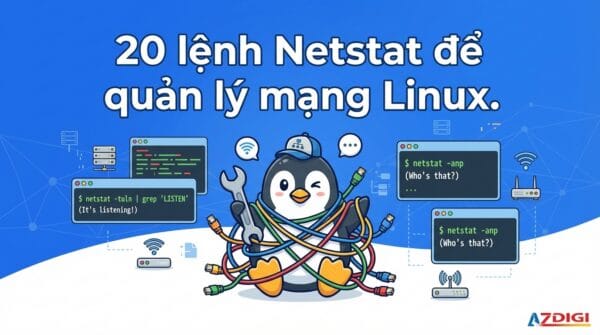 20 Netstat commands for Linux network management