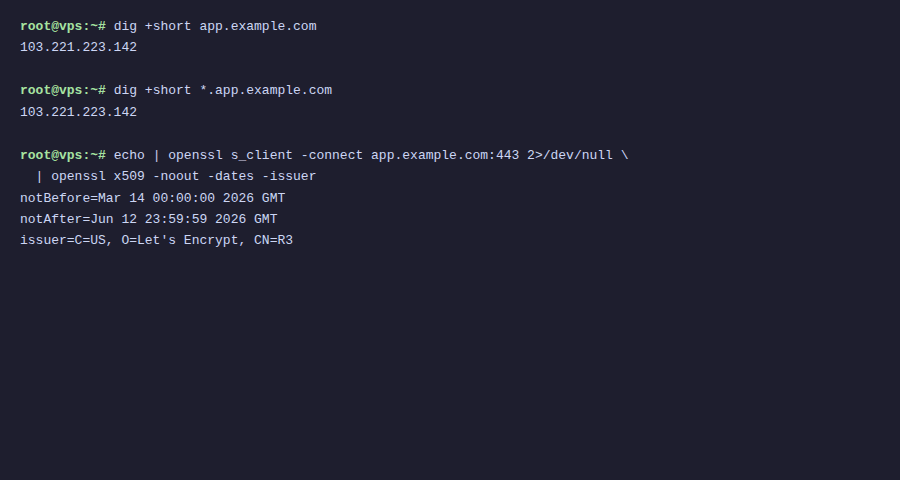 Kiểm tra DNS và SSL certificate