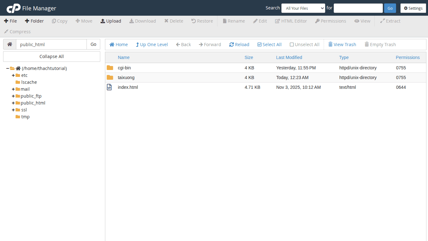 File Manager trong cPanel hiển thị thư mục public_html
