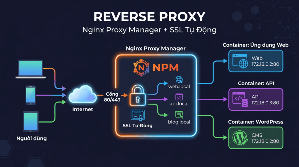 Reverse Proxy với Nginx Proxy Manager + SSL tự động - AZDIGI Blog
