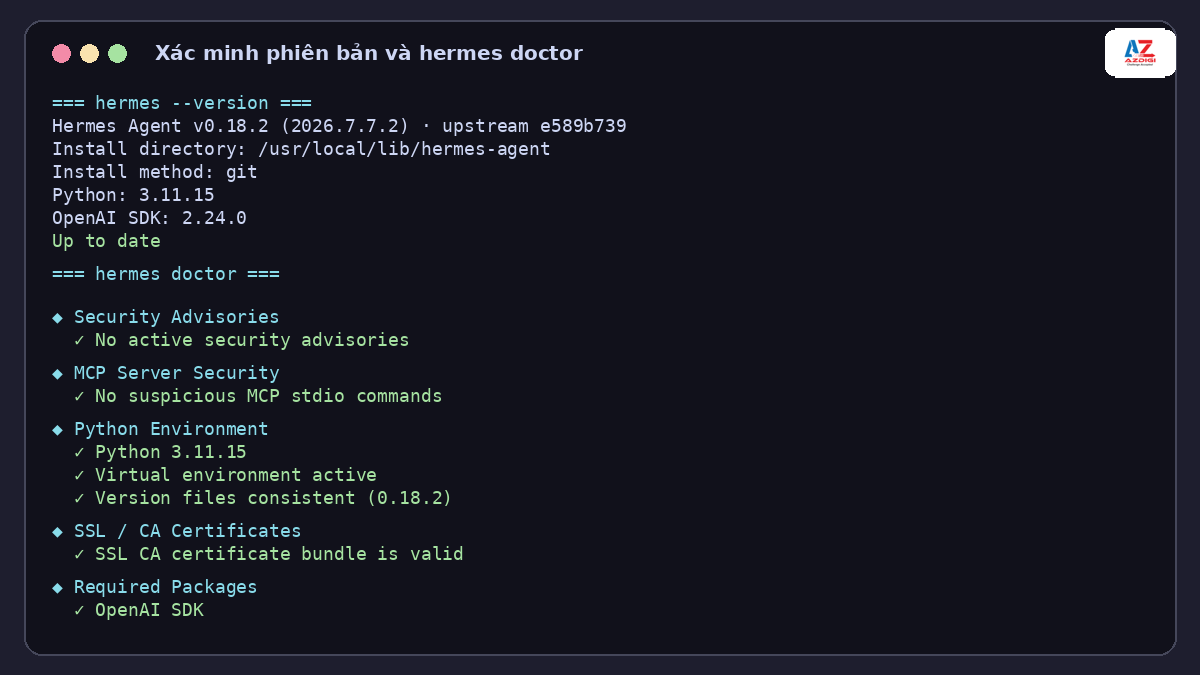 Output from hermes --version and hermes doctor in the lab environment