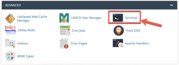 WP-CLI is integrated on Hosting AZDIGI