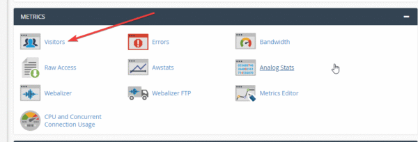 How to check visitors on cPanel