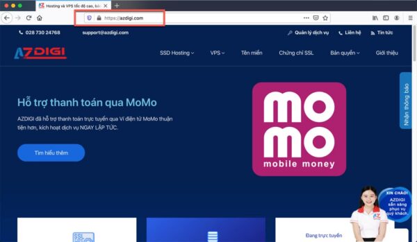 Learn about SSL certificates