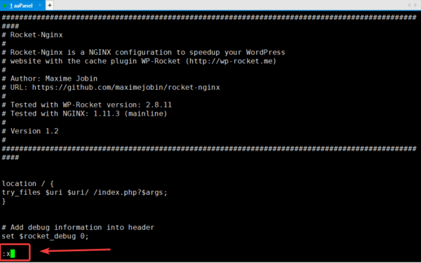 How to configure WP Rocket with Nginx