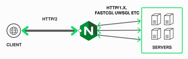 Configure NGINX FastCGI Cache WordPress on aaPanel