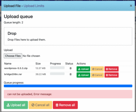 Fix the error: can not be uploaded Error message CyberPanel