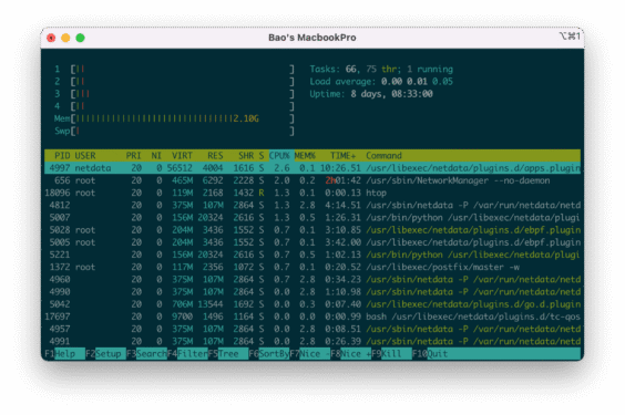 htop – Monitoring Linux server processes