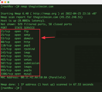 Kiểm tra Port đang mở từ xa với Nmap trên Linux